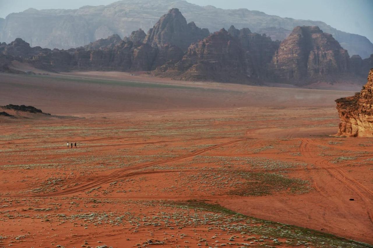 Art Camp Wadi Rum Buitenkant foto