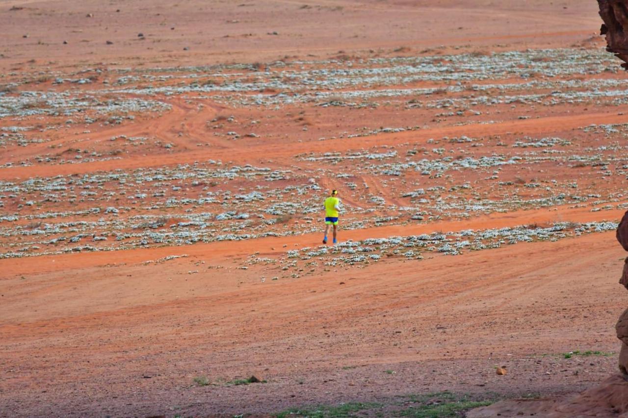 Art Camp Wadi Rum Buitenkant foto